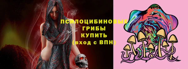 дживик Беломорск