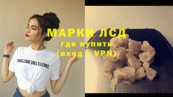 прущие грибы Белокуриха