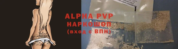 прущие грибы Белокуриха