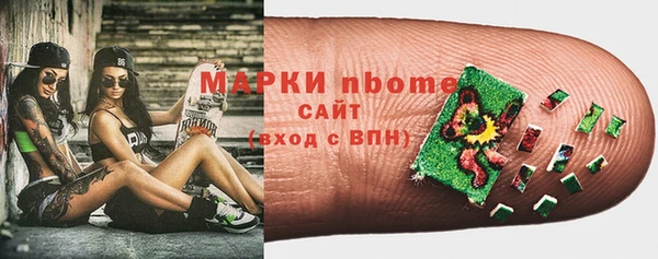 прущие грибы Белокуриха