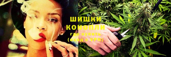 прущие грибы Белокуриха