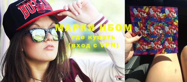 прущие грибы Белокуриха