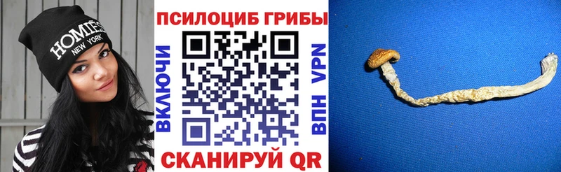 Псилоцибиновые грибы мицелий  Уфа 